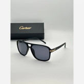 انواع عینک آفتابی مردانه مارکدار کارتیر